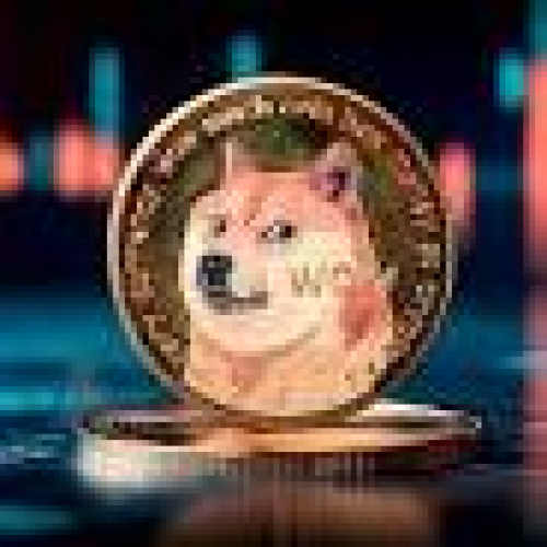 Dogecoin Advocate Champions Satoshi Nakamoto's Privacy Vision