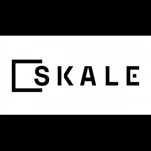 SKALE Network Skyrockets Blockchain Scalability, Fueling Mass Adoption in Q1