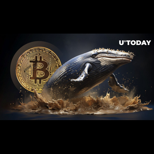 Bitcoin Market May Shift as Whale Activity Ebbs