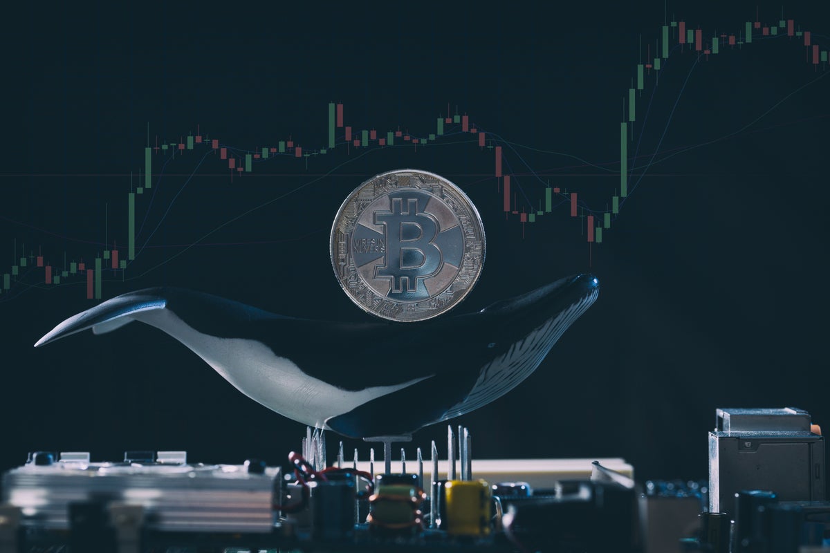 Kraken Receives Colossal BTC Influx from Whale, Fueling Market Speculation