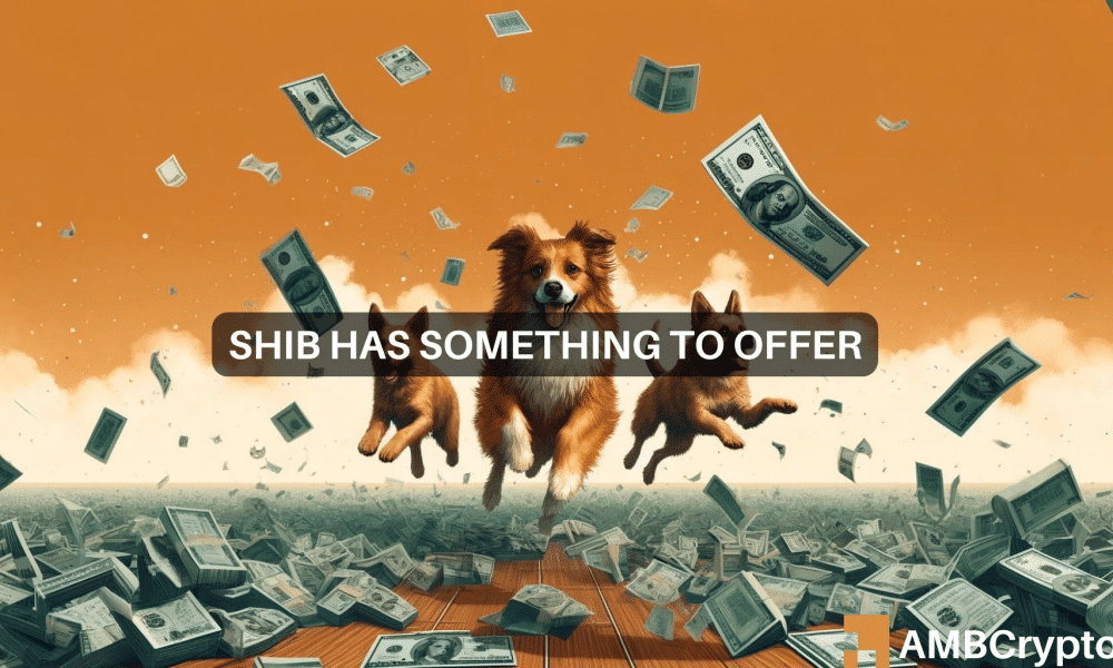 Shiba Inu Primed for Long-Term Surge Despite Price Drop