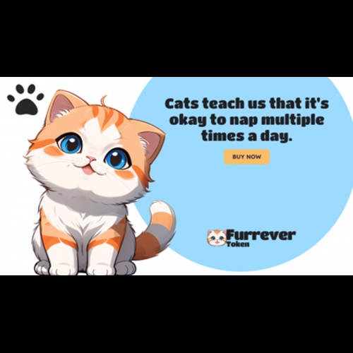 Furrever Token Presale: A Purr-fect Opportunity to Invest in Animal Welfare