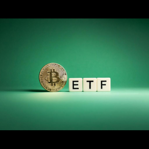 Spot Bitcoin ETFs Excite Institutions, Leave Retail Investors Unmoved