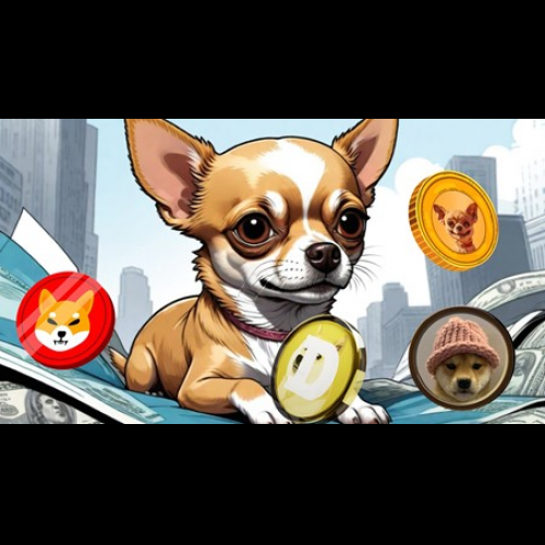 Unearthing Crypto Gems: Pepe Coin, Floki Inu, and Hump Token Soar for Exponential Gains