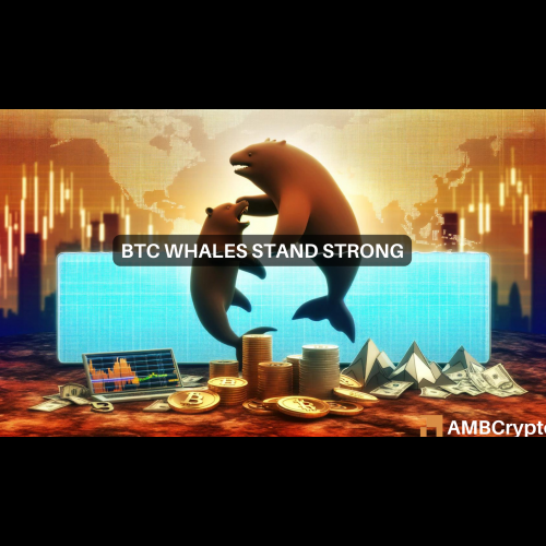 Bitcoin Whales Accumulate Amidst Market Turmoil