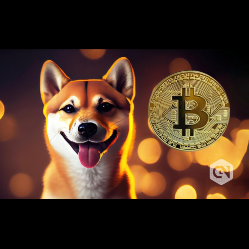 The Doppelgänger Revealed: SHIB and BTC Mirror Each Other in the Cryptoverse
