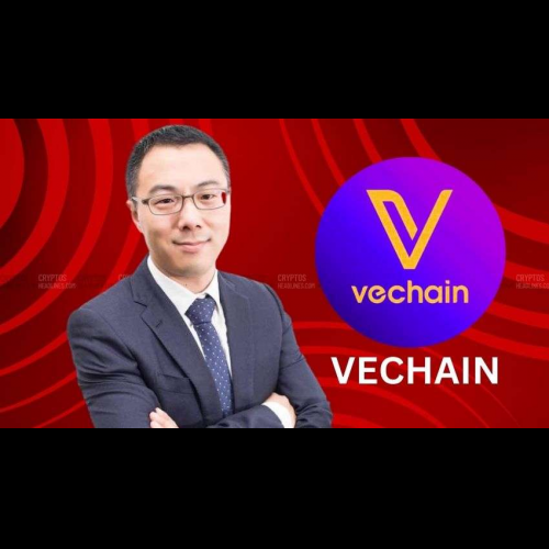 VeChain Poised for Explosive Growth, Expert Predicts USD 0.6 High by December 2024