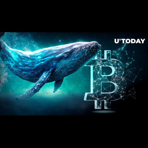 Colossal Crypto Whales Stir After Decade of Slumber, Shaking Bitcoin Market