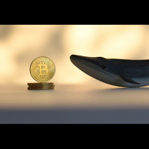 Dormant Bitcoin Whales Awaken After Decade-Long Nap, Unlocking $60M Worth of BTC