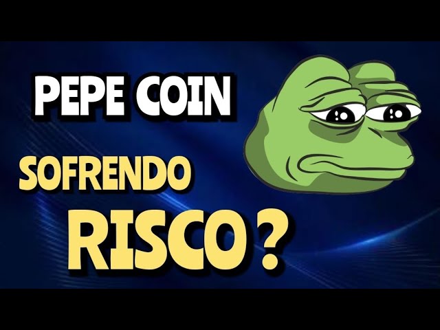 WHAT HAPPENS TO PEPE COIN NOW?