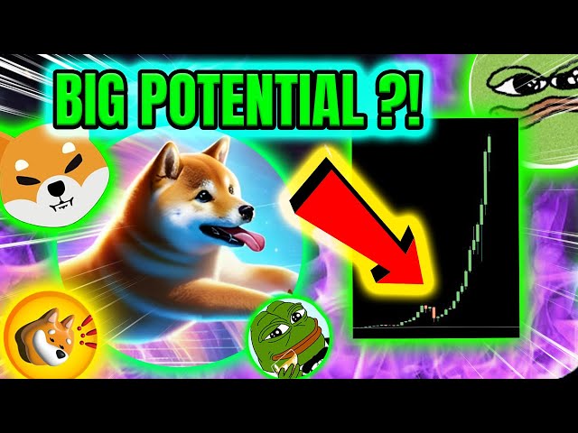 NEW MEME COIN GEM  ?! 🚀 This MEME Could Go Huge!📡💎📈WATCH OUT FOR THIS! 🔥 NEXT DOGE  ?!