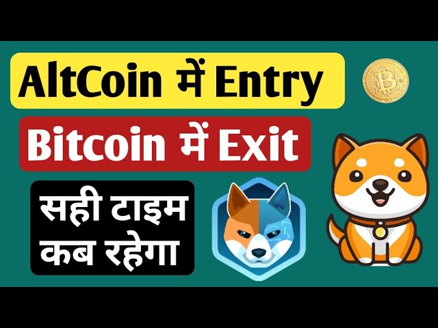 Alt Coins में Entry | Bitcoin से Exit | Baby Dode Coin | Aidoge | All Information BTC