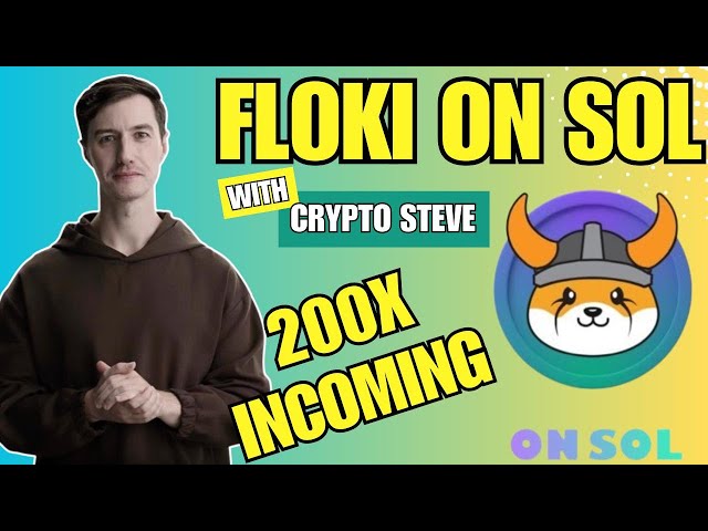 FLOKI ON SOL🚨 TOKEN REVIEW🚨 AMAZING MEME PROJECT🚀