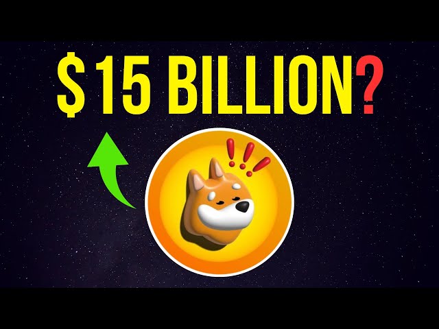 BONK : $15 Billion Market Cap Realistic? | Bull Run Price Prediction | Solana Meme Coin