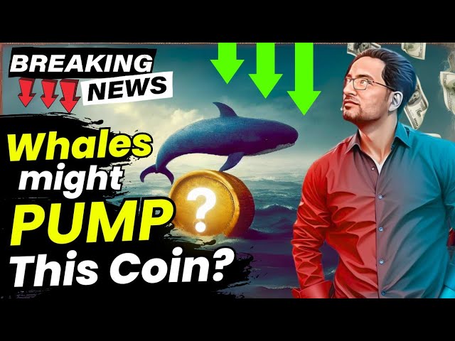 😱 1 Coin Whales will PUMP? 🚀 Best Crypto to Buy Now ? 📊