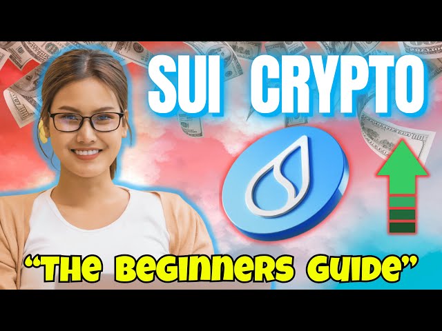 A Beginners Guide to Understanding SUI Crypto!