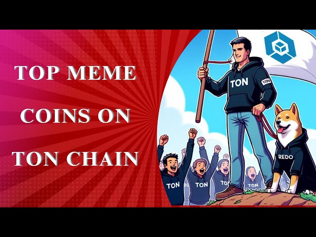 Top 5 Meme Coins to Buy on Ton Chain