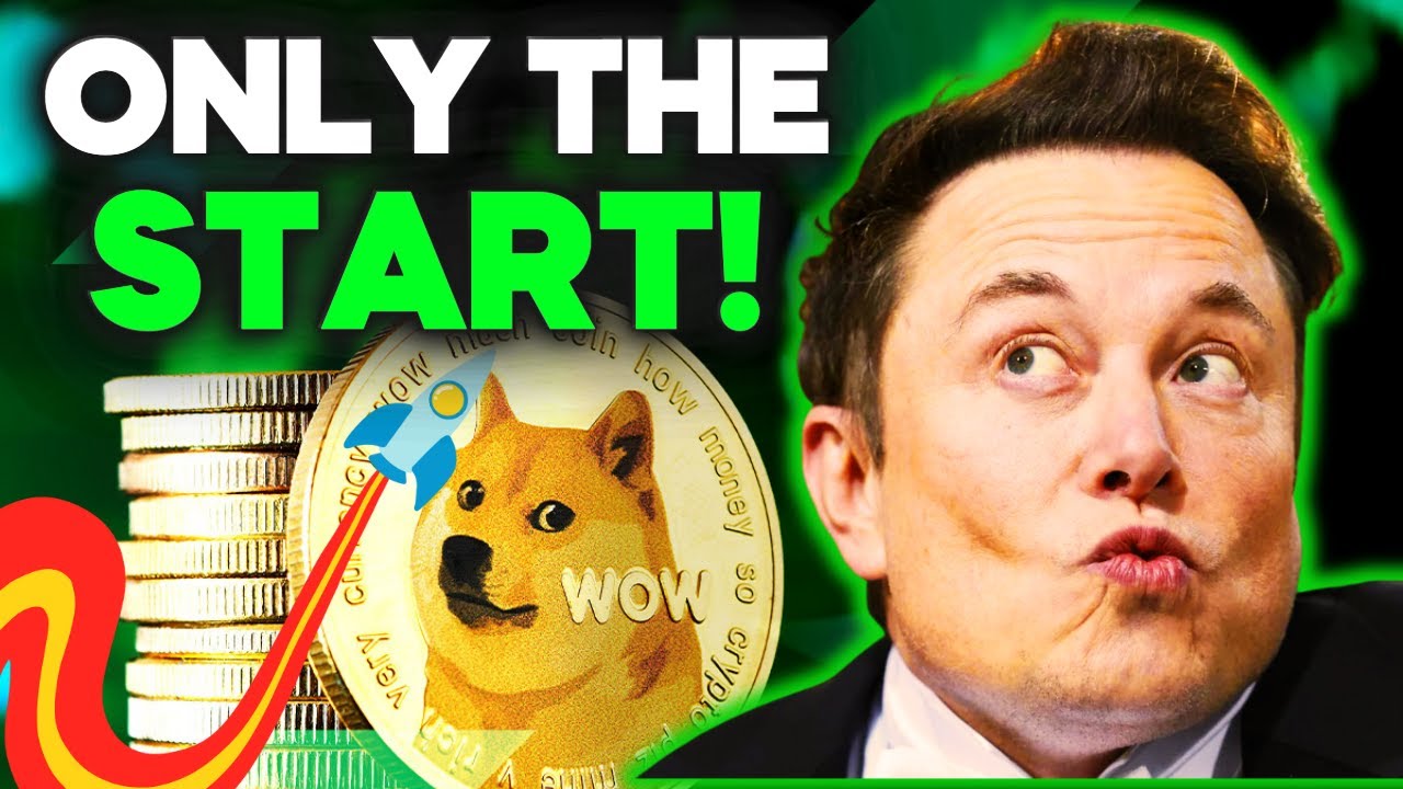 Dogecoin + Elon Musk = SUPER BULLISCH? DOGE erklärt