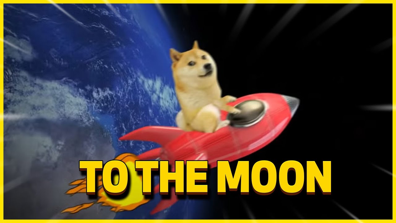 ? 달에 가는 DOGECOIN: SPACEX DOGE-1 11월 15~20일