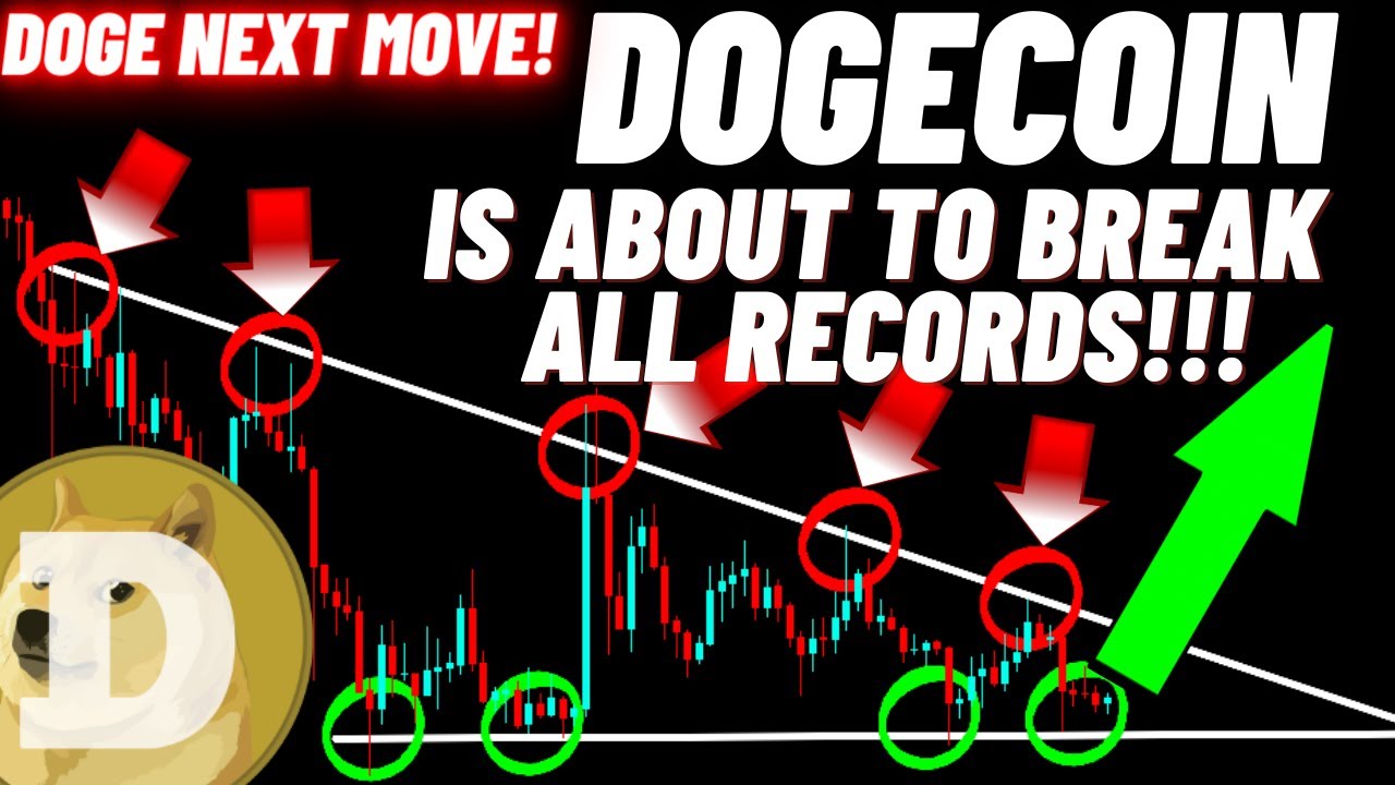 Dogecoin DOGE가 모든 기록을 깨려고 합니다!!!