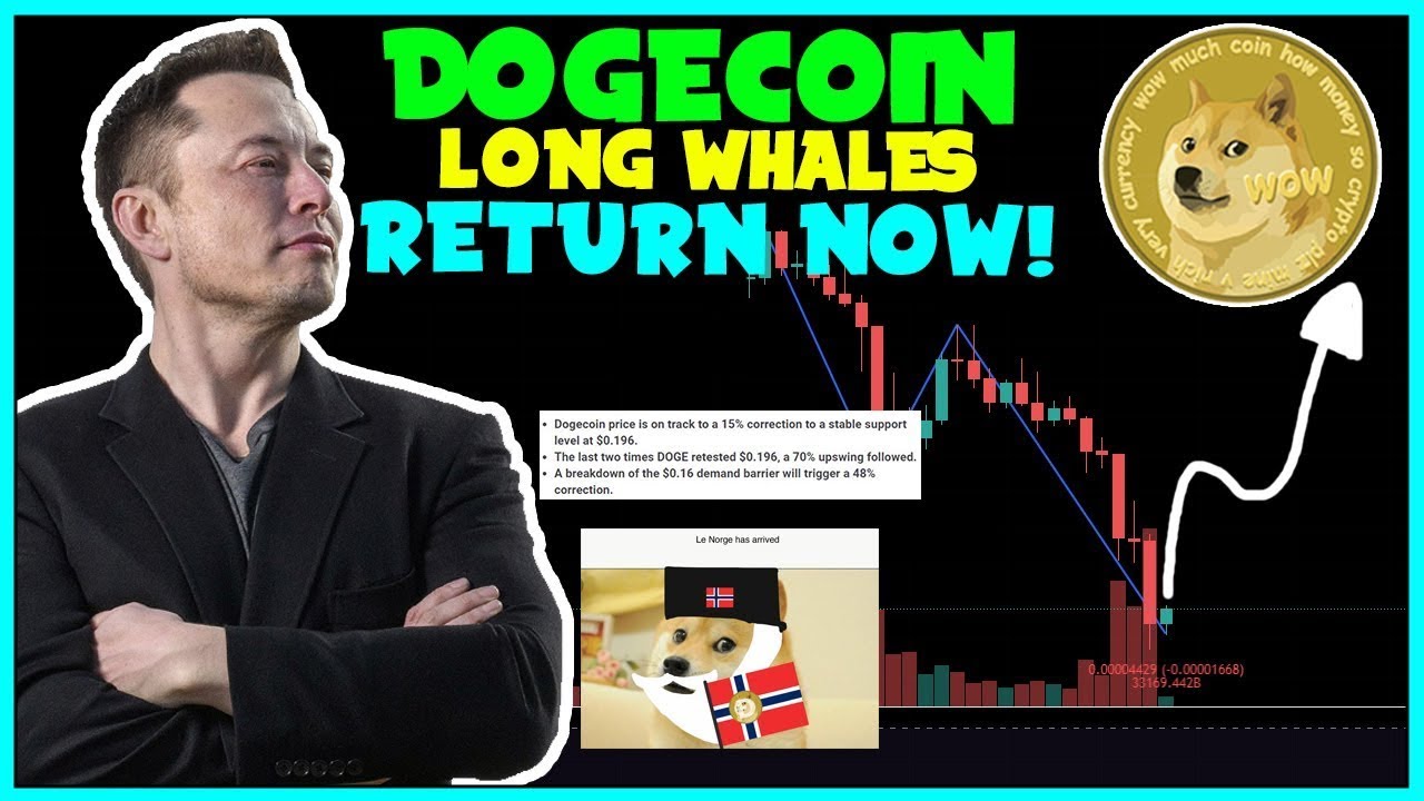 Elon Musk Hints Dogecoin Will Go To $0.29 At Least! (MASSIVE WHALES RETURN!) Less TXN Push!.