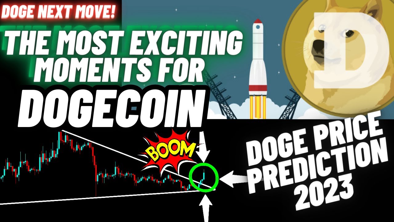 Dogecoin의 가장 흥미로운 순간 | 2023년 DOGE 가격 예측