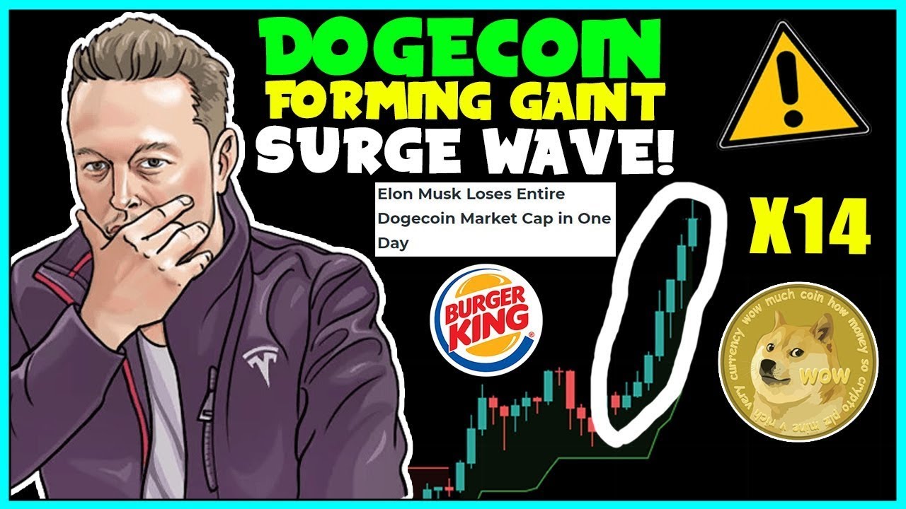 모든 DOGECOIN 보유자는 이에 속지 마십시오! ? - 엘론 머스크, SpaceX! ? DOGECOIN 가격 액션! TXN!