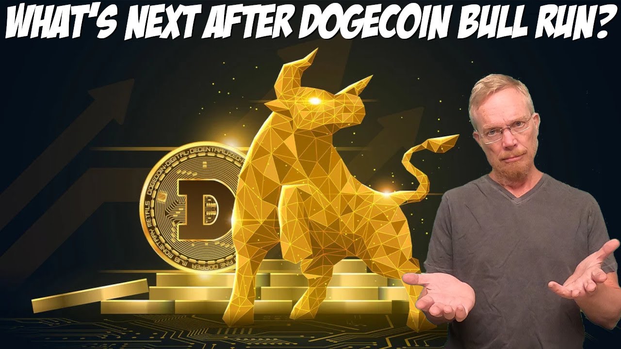 Big Dogecoin Bull Run 이후 다음 단계는 무엇입니까?