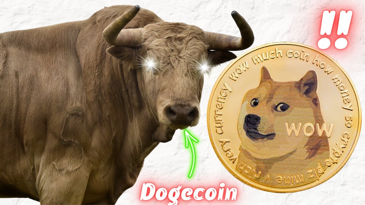 Dogecoin Price Massive Bull Run Coming!