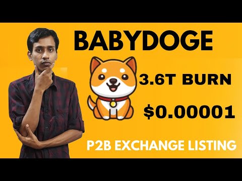 寶貝狗狗幣今日新聞 | 3.6 兆美元燒錢 | BabyDoge 幣價格 $0.00001 | P2B交易所上市