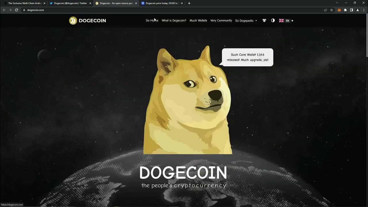 DOGE Coin | DOGECOIN Cryptocurrency | How Does DOGECOIN Crypto Work | Airdrop ???