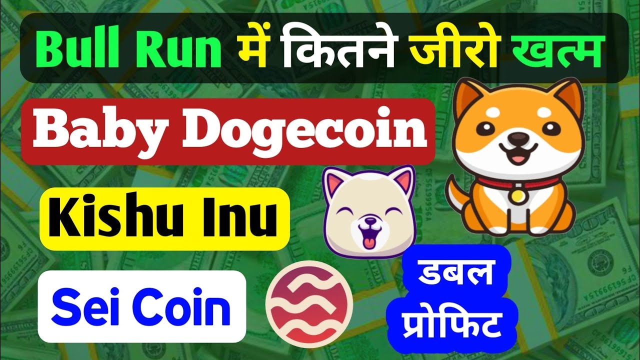 Combien de zéros Baby Dogecoin finira-t-il dans Bull Run ? Kishu Inu | Prédiction du prix des pièces Sei