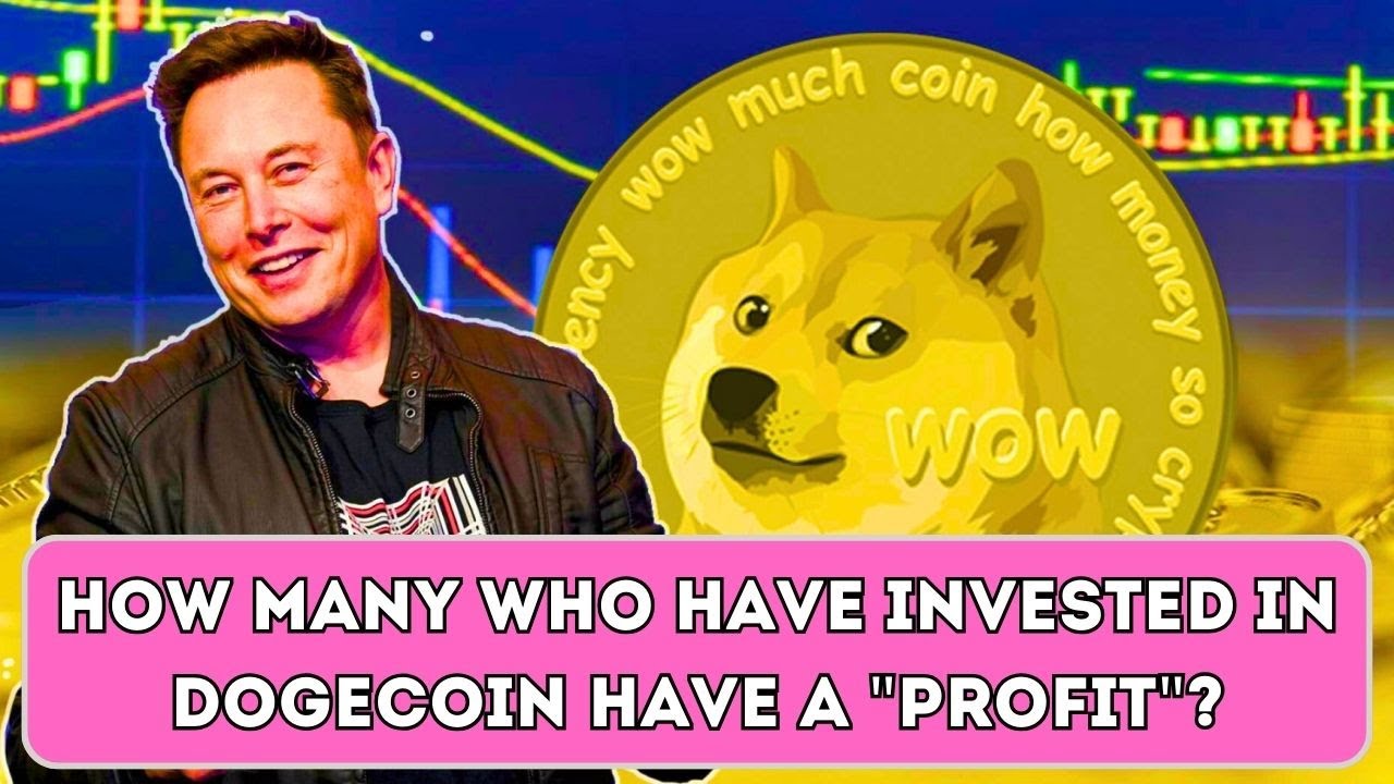 Combien de ceux qui ont investi dans Dogecoin ont le statut de profiteur ?