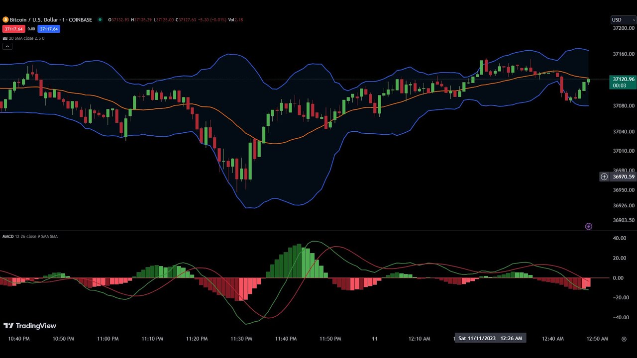 Dogecoin Shorting 'LIVE' sur TradingView - Paper Trading - (Débutants)