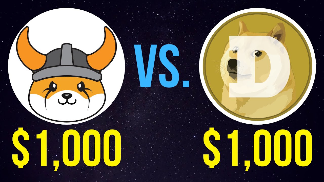 $1,000 FLOKI vs. $1,000 Dogecoin – Who Wins? | FLOKI or DOGE?