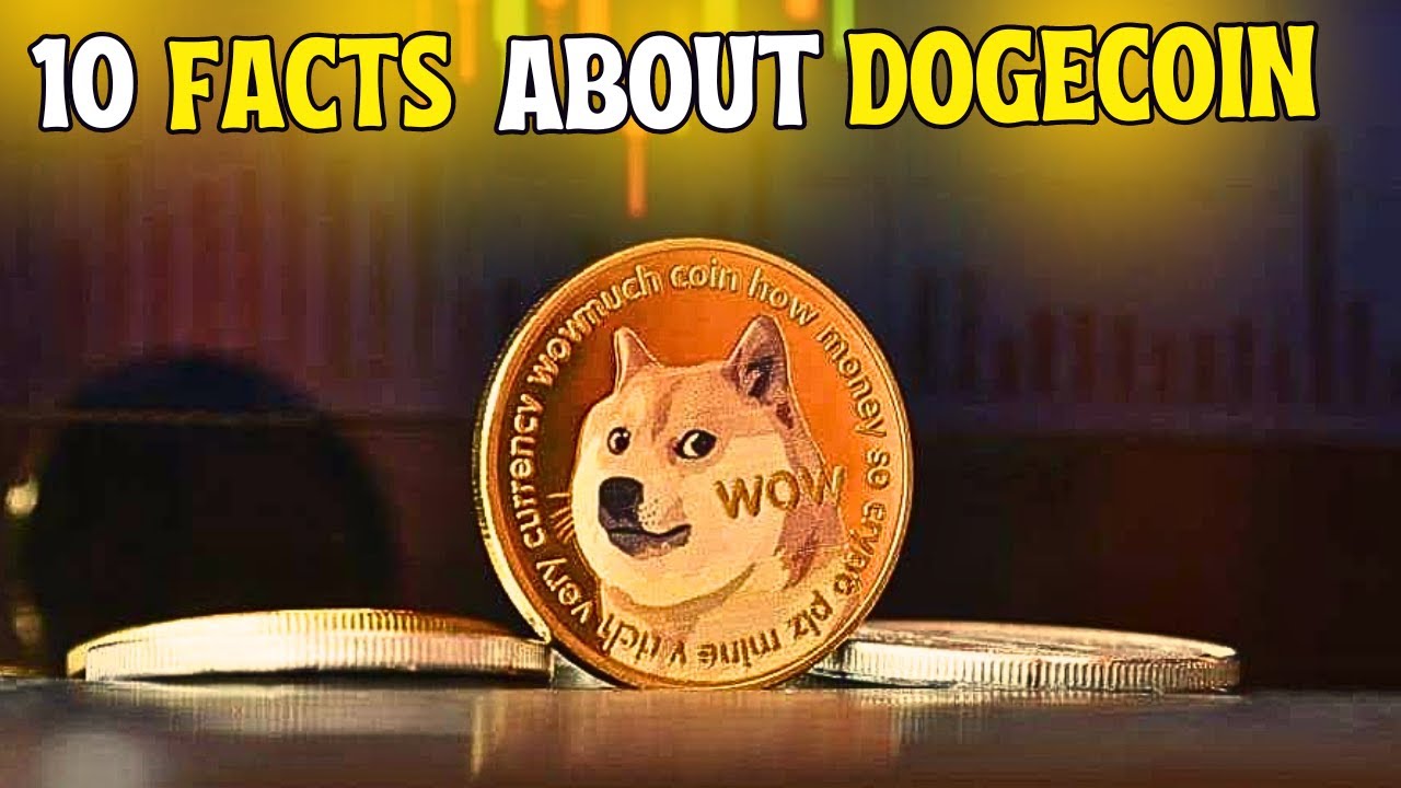 10 Fun Facts about Dogecoin | Elon Musk's Favorite Crypto Secrets Revealed You Didn't Know!