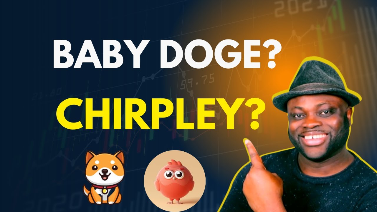 How Bitcoin's Rise Could Impact Chirpley Coin & Baby Doge Coin'.