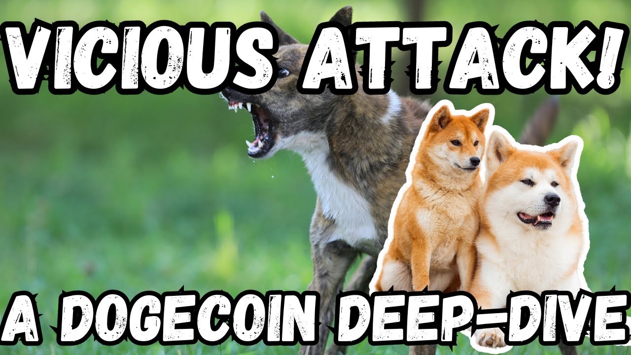 ?✨? Dogecoin (DOGE) – Das verspielte Krypto-Kraftpaket! ??? ✨?