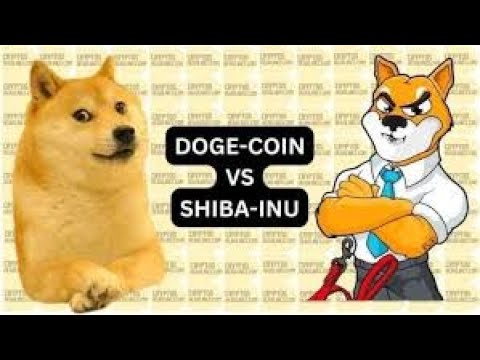 最後 14 分鐘！?狗狗幣為 2-3 美元，這些歷史峰值將在 SHIBA 見證：集會的多個時刻..?