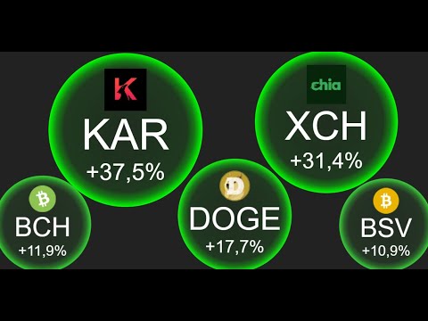 貨幣概述：Karura (KAR)、比特幣現金 (BCH)、比特幣 SV (BSV)、狗狗幣 (DOGE)、Chia (XCH)。