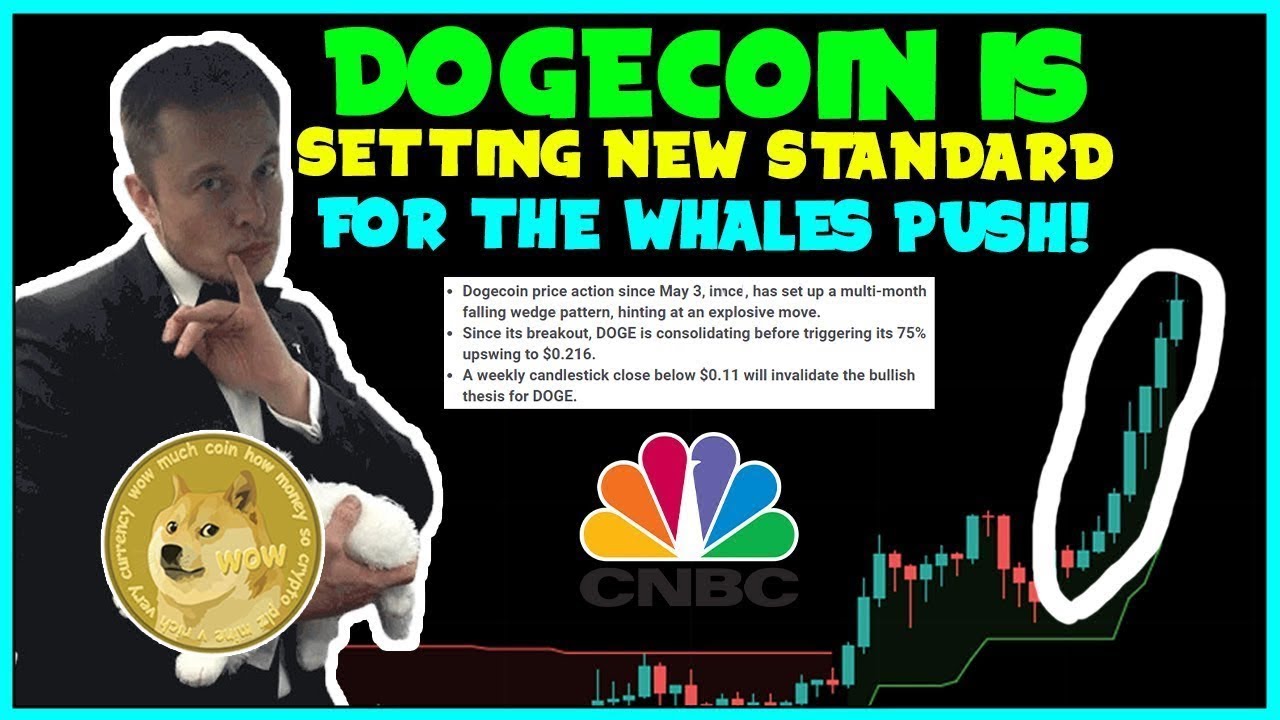 Dogecoin hat Probleme, im Jahr 2023 auf 0,17 $ zu steigen! (Elon Musk WHALES RETURN!) SEC-Probleme!.