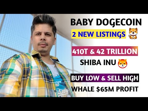 역대 최고 | 410T & 42조 시바견 | Baby Dogecoin 2 목록 | 1.8B 스타크넷 | Wrx 펌프