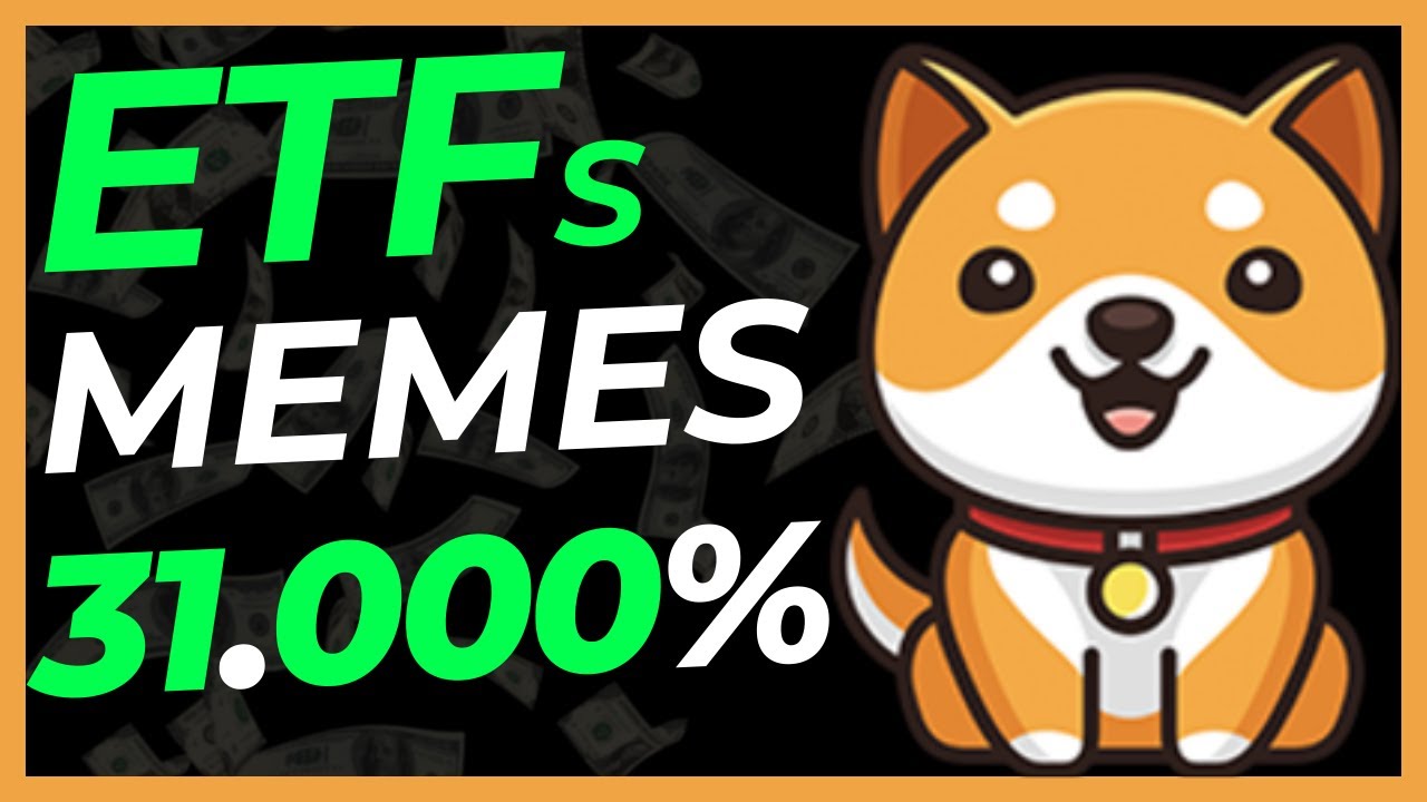 BABY DOGE ETF MEME COINS 31.000 % IST MÖGLICH