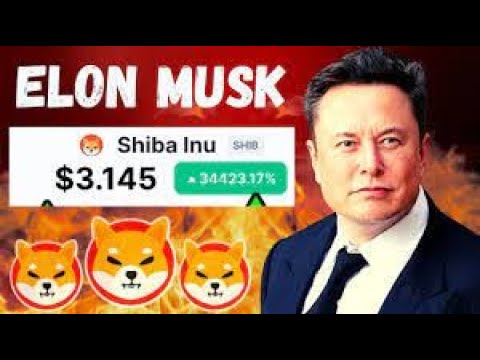 UM 3 UHR!?“SHIBA WIRD 0,5 $ UND IN 3 TAGEN 10 $ SEIN!““60000X IN SHIBA, 300000 % PUMP IN DOGE!