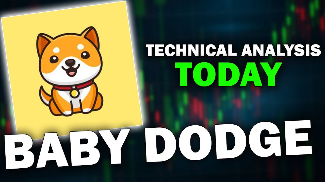 BABY DOGE COIN BABYDOGE BULLRUN 泵即将推出？ | BABYDOGE 技术分析 |宝贝狗狗价格