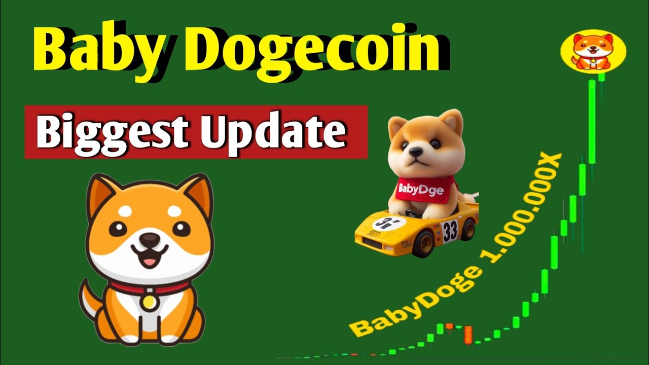 Baby dogecoin は夢を叶えてくれるでしょうか？ 、すべての情報 BTC