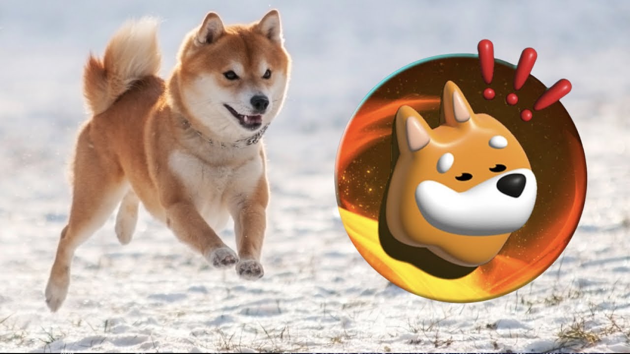 Verwenden Sie BONK, um den Top-DOGE zu stapeln? (Sei der Rudelführer!) ???