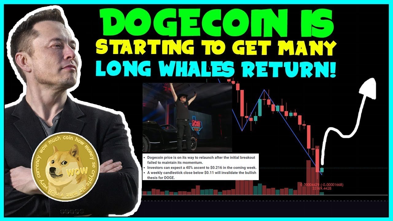 Elon Musk Hints Dogecoin Will Go To $0.16 At Least! (Whales Pump Return!) TESLA, SPACEX...