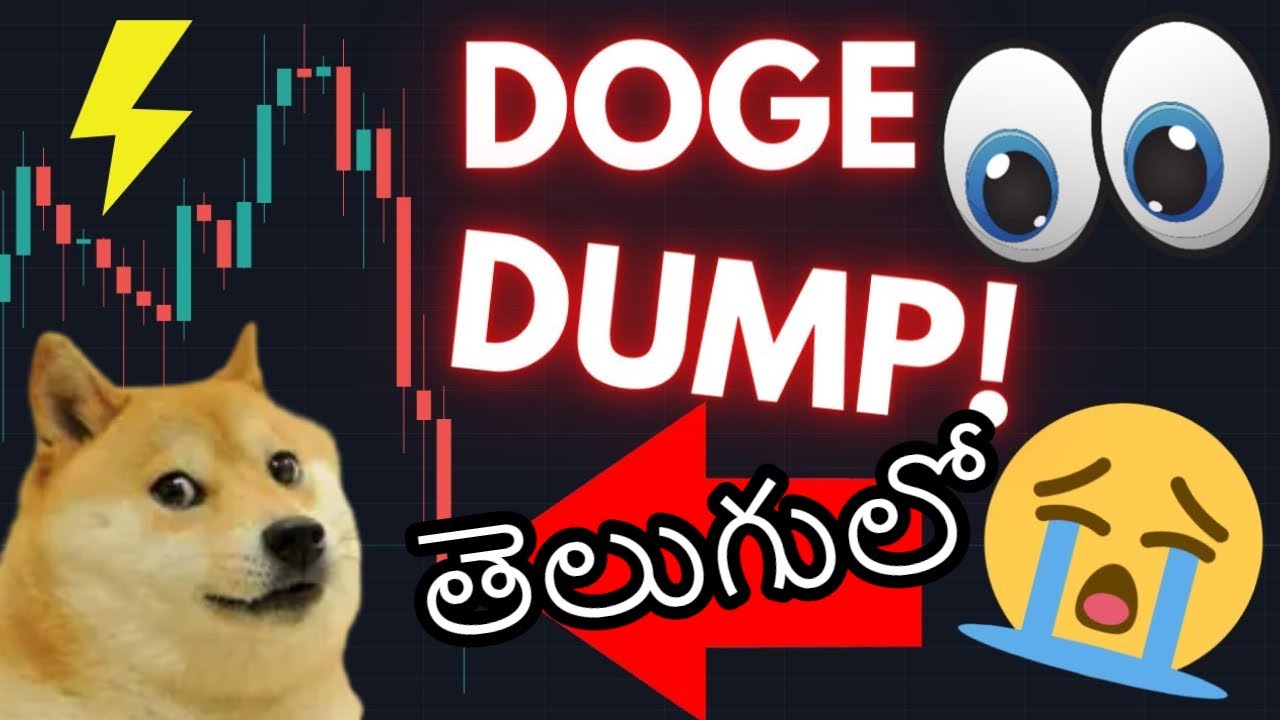 $Dogecoin 面临下跌 10% 的风险 - Dogecoin 是看涨还是看跌？