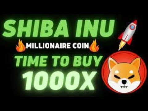 本季最賺錢的貨幣：SHIBA、DOGE、MATIC 和另外 9 種山寨幣?保證財富的...?